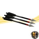 Carbonpfeile, leichte Jagdpfeile Steambow AR-Series