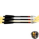 Carbonpfeile, leichte Jagdpfeile Steambow AR-Series