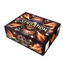 *Sensation* Verbundfeuerwerk Fire Event 207 Schuss- 1:55...