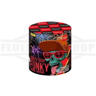 Gaoo Feuerwerk *FUNKY (MANSION)* Silvester Feuerwerk Pyrotechnik