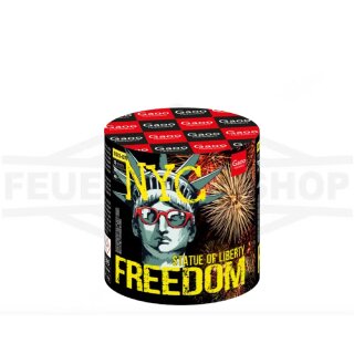 Gaoo Feuerwerk *FREEDOM / Brocade Crown* Silvester Feuerwerk Pyrotechnik
