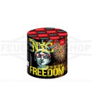 Gaoo Feuerwerk *FREEDOM / Brocade Crown* Silvester...