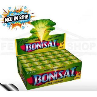 *Bonsai* Mini Feuerwerkfontänen - Jugendfeuerwerk von Nico 1 x Schachtel