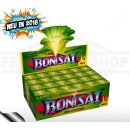 *Bonsai* Mini Feuerwerkfontänen - Jugendfeuerwerk...